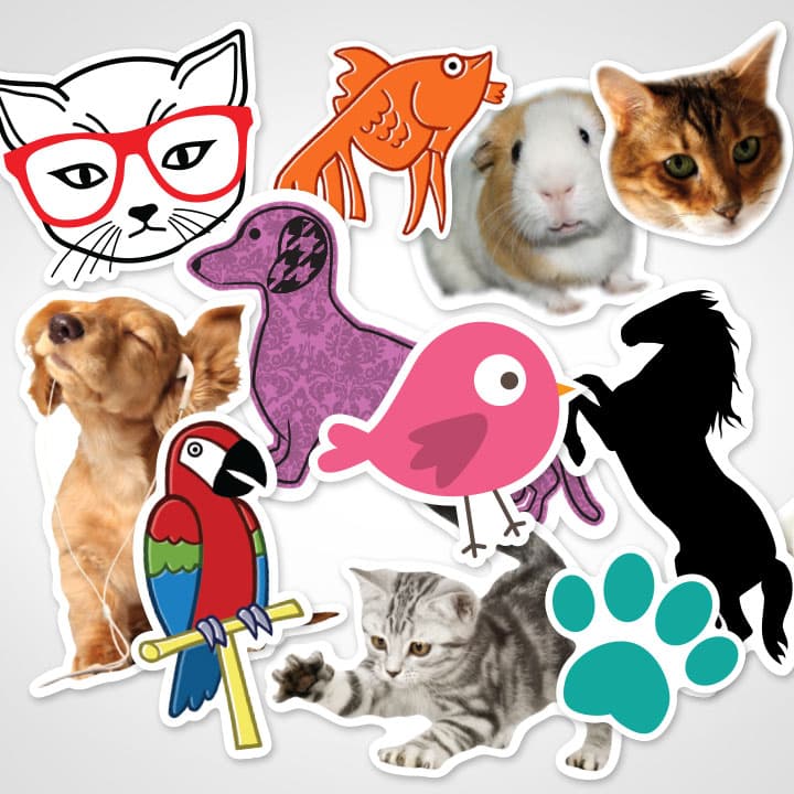 PP VINIL ADHESIVO PET STICKER IMPRIMIBLE (INKJET)