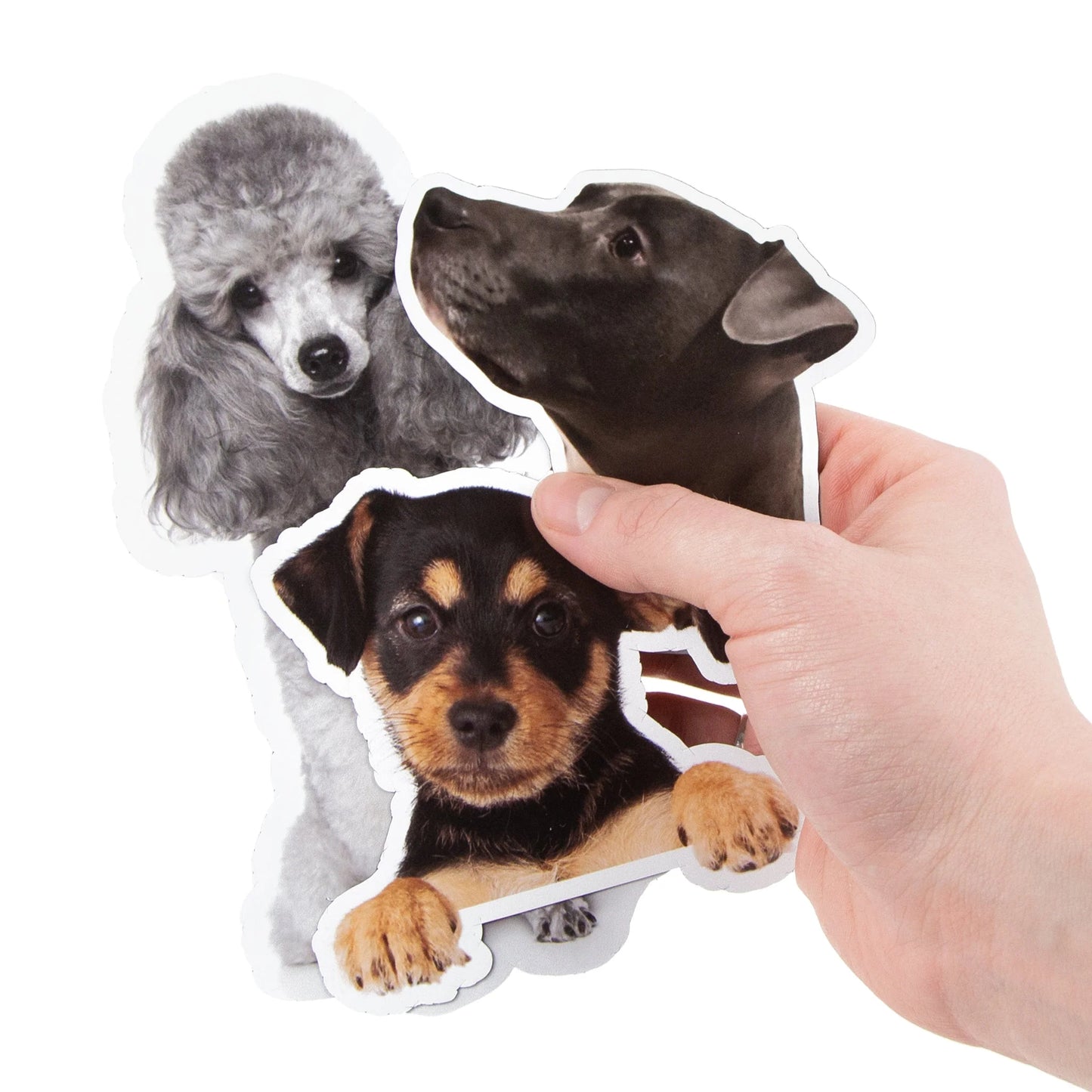 VINIL ADHESIVO PET STICKER IMPRIMIBLE (INKJET)