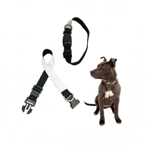 COLLAR PARA MASCOTAS (AJUSTABLES)