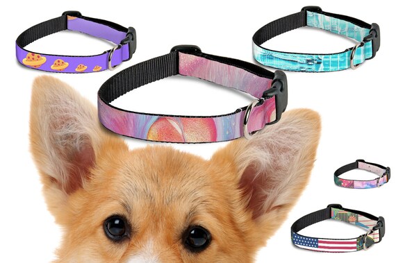 COLLAR PARA MASCOTAS (AJUSTABLES)