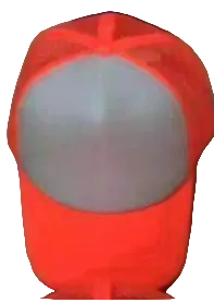 GORRAS MESH  SUBLIMABLES DE COLORES