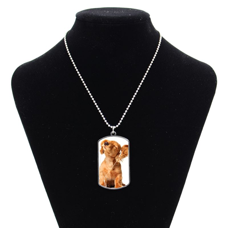 PLACA DE IDENTIFICACIÓN PARA MASCOTAS